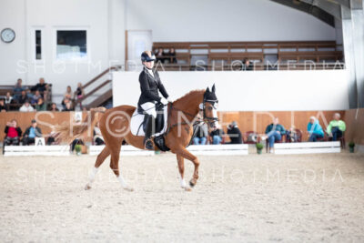 0140-250607-171417-DressurreiterWB