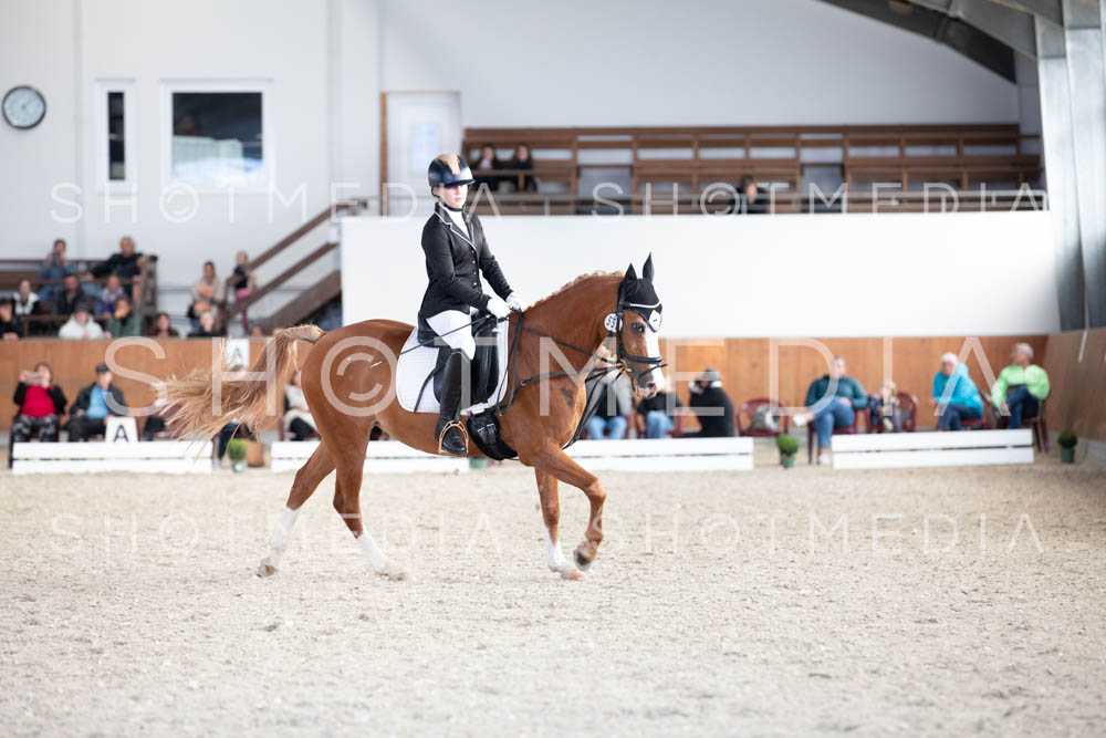 0140-250607-171417-DressurreiterWB