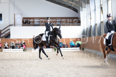 0141-250607-171419-DressurreiterWB