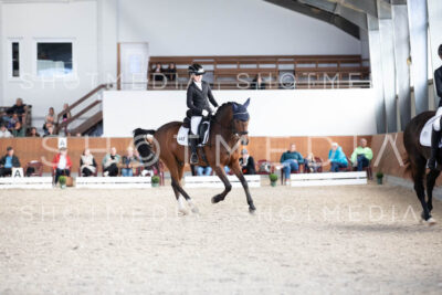 0142-250607-171421-DressurreiterWB