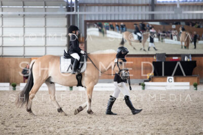 0146-250607-161657-Fuehrzuegel