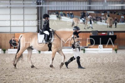 0147-250607-161657-Fuehrzuegel