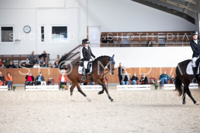 0147-250607-171436-DressurreiterWB