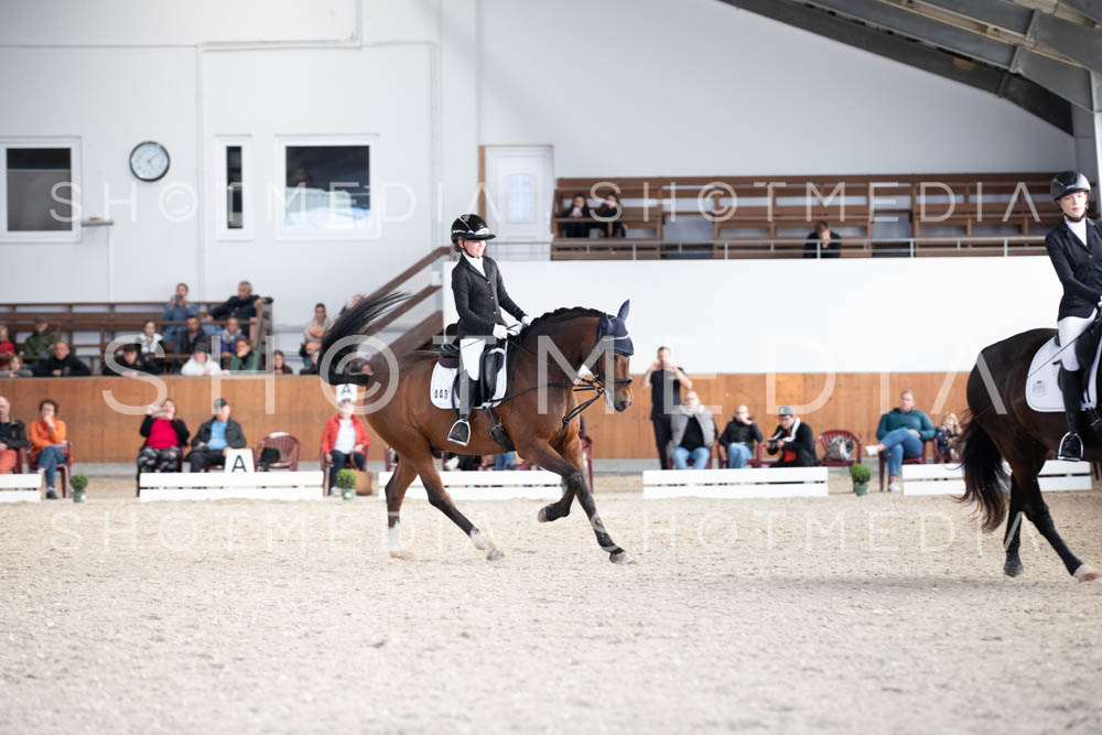 0147-250607-171436-DressurreiterWB