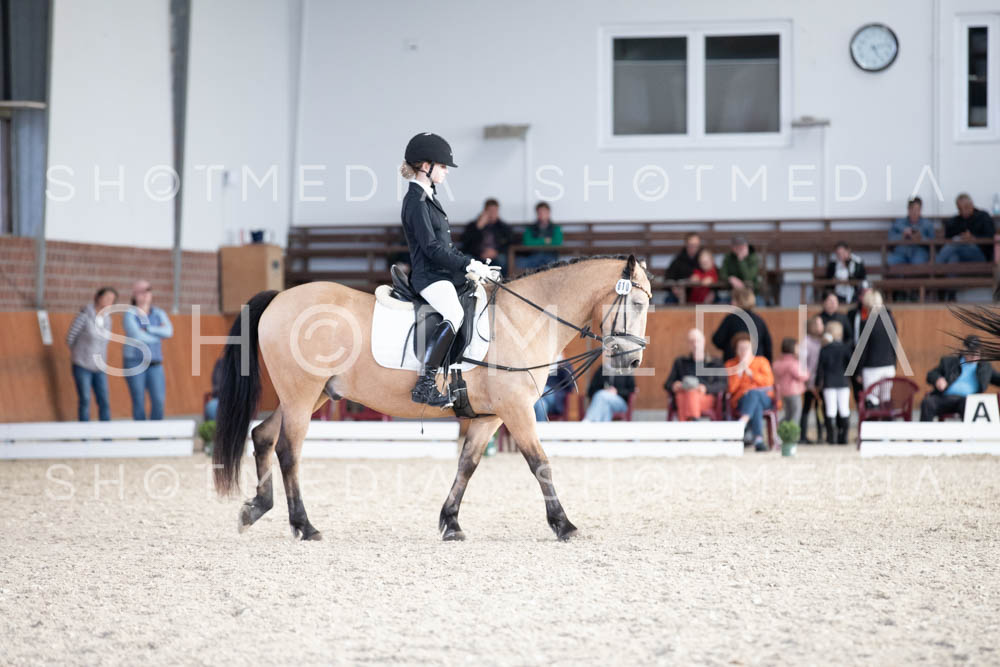 0161-250607-171924-DressurreiterWB