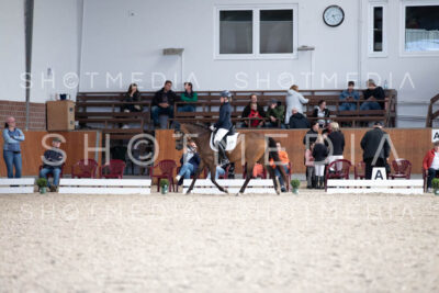 0162-250607-171934-DressurreiterWB