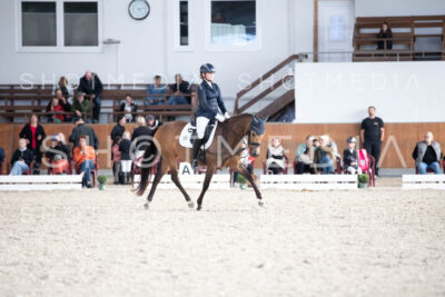 0164-250607-171942-DressurreiterWB