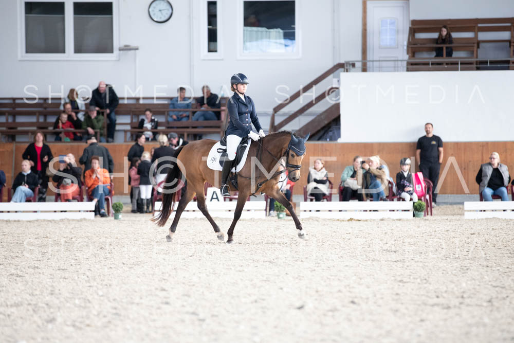 0164-250607-171942-DressurreiterWB