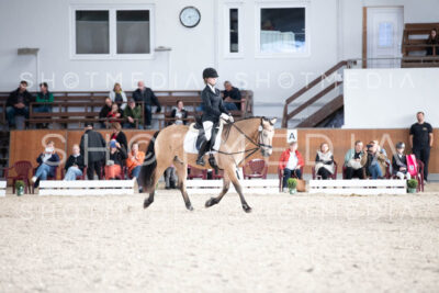 0167-250607-171946-DressurreiterWB