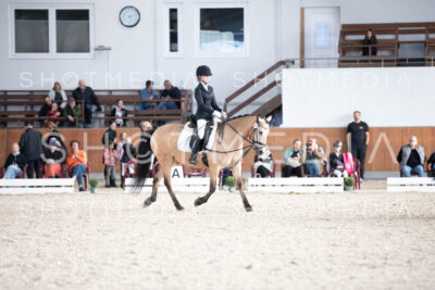 0168-250607-171947-DressurreiterWB