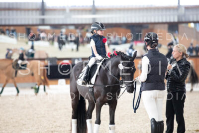 0169-250607-162429-Fuehrzuegel