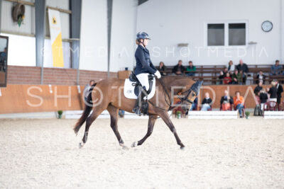 0171-250607-172002-DressurreiterWB