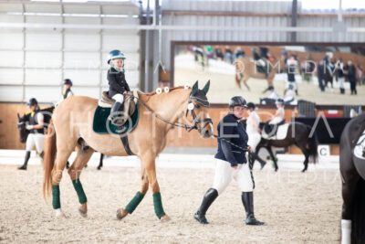 0172-250607-162451-Fuehrzuegel