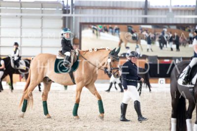 0173-250607-162451-Fuehrzuegel