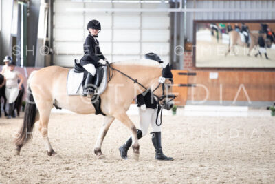 0174-250607-162458-Fuehrzuegel