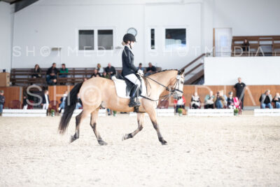 0174-250607-172008-DressurreiterWB