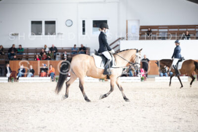 0175-250607-172008-DressurreiterWB