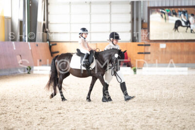 0177-250607-162515-Fuehrzuegel