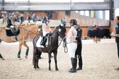 0179-250607-162547-Fuehrzuegel