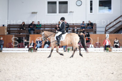 0180-250607-172015-DressurreiterWB