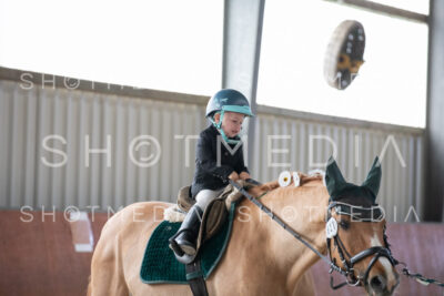 0182-250607-162828-Fuehrzuegel