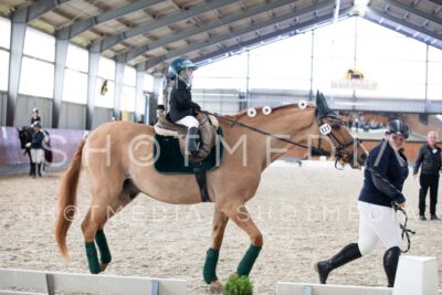 0183-250607-162830-Fuehrzuegel