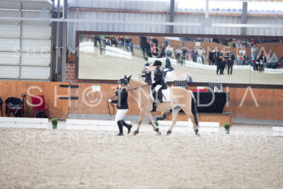 0186-250607-162915-Fuehrzuegel