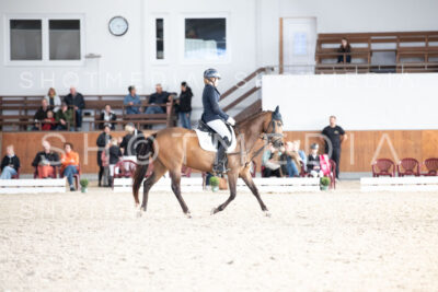 0186-250607-172104-DressurreiterWB