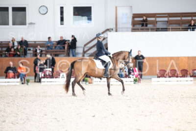 0187-250607-172104-DressurreiterWB