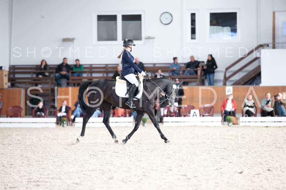 0188-250607-172109-DressurreiterWB