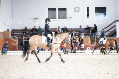 0190-250607-172111-DressurreiterWB