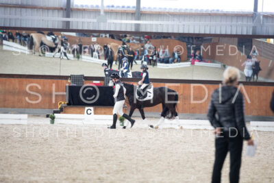 0191-250607-163052-Fuehrzuegel