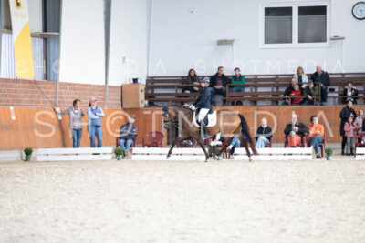 0191-250607-172113-DressurreiterWB