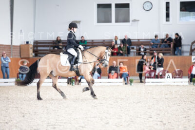 0193-250607-172130-DressurreiterWB