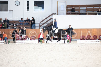 0194-250607-172133-DressurreiterWB