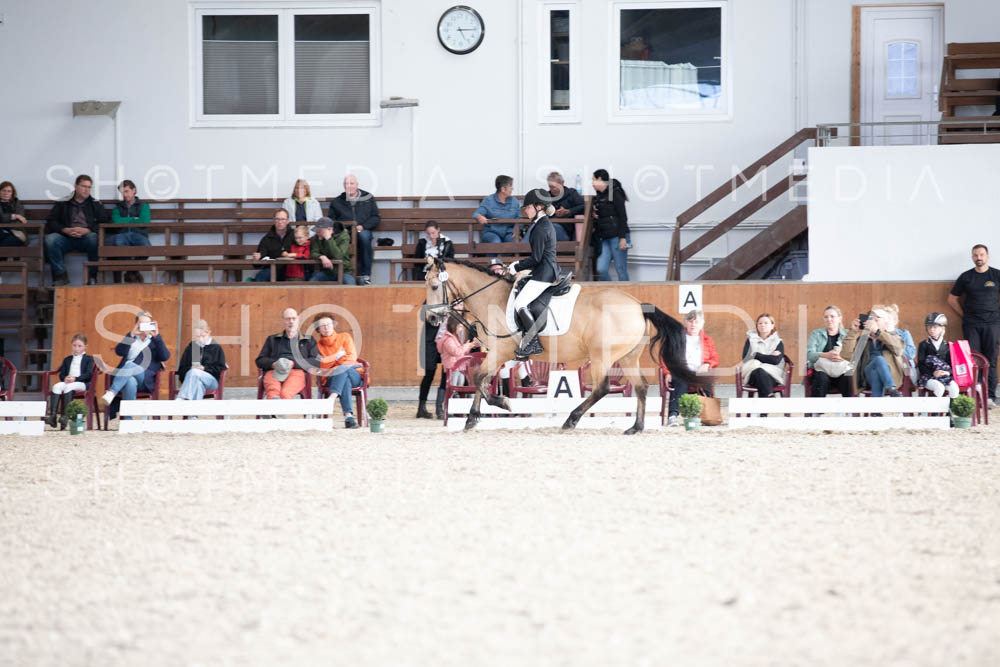 0195-250607-172137-DressurreiterWB