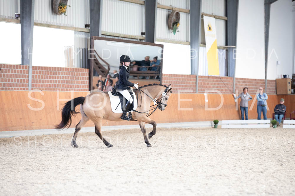 0201-250607-172316-DressurreiterWB