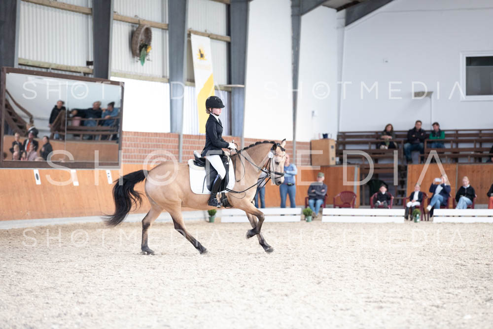 0202-250607-172317-DressurreiterWB