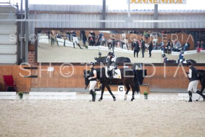 0203-250607-163205-Fuehrzuegel