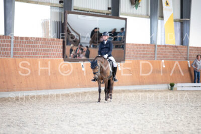 0203-250607-172412-DressurreiterWB