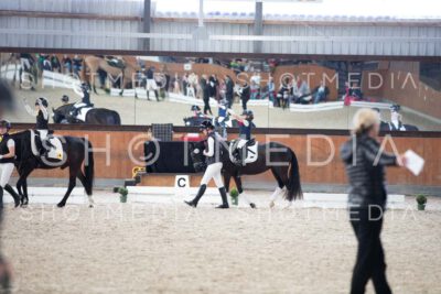 0204-250607-163207-Fuehrzuegel