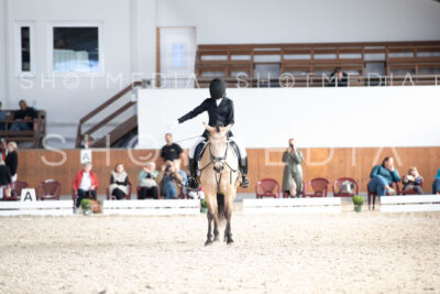 0205-250607-172431-DressurreiterWB