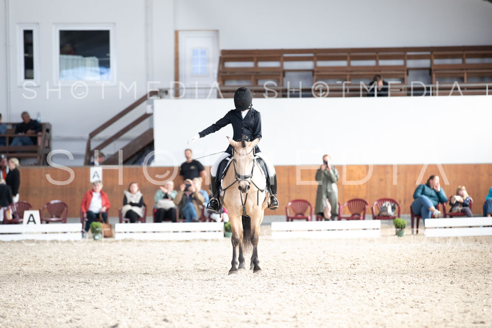 0205-250607-172431-DressurreiterWB