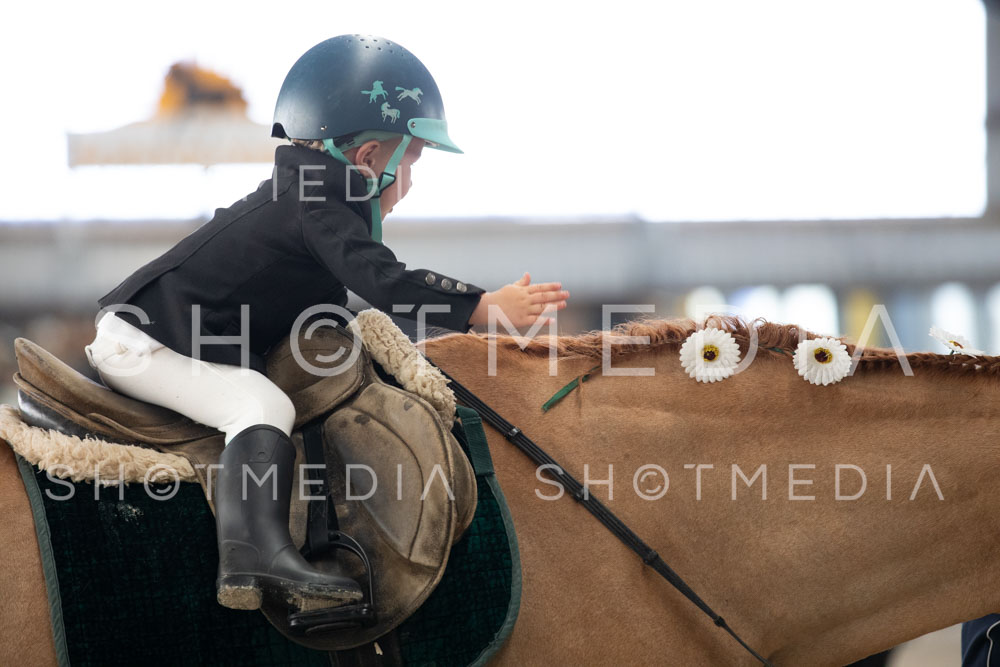 0206-250607-163326-Fuehrzuegel