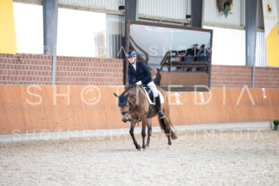 0208-250607-172436-DressurreiterWB