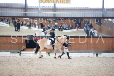 0212-250607-163459-Fuehrzuegel