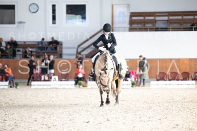 0213-250607-172439-DressurreiterWB