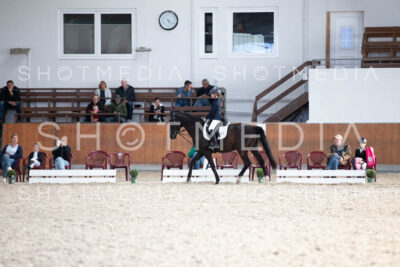 0215-250607-172740-DressurreiterWB