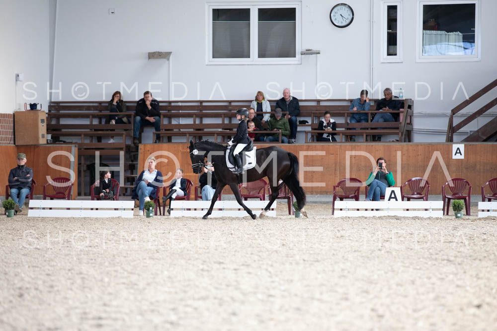 0217-250607-172743-DressurreiterWB