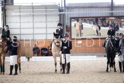 0218-250607-163943-Fuehrzuegel